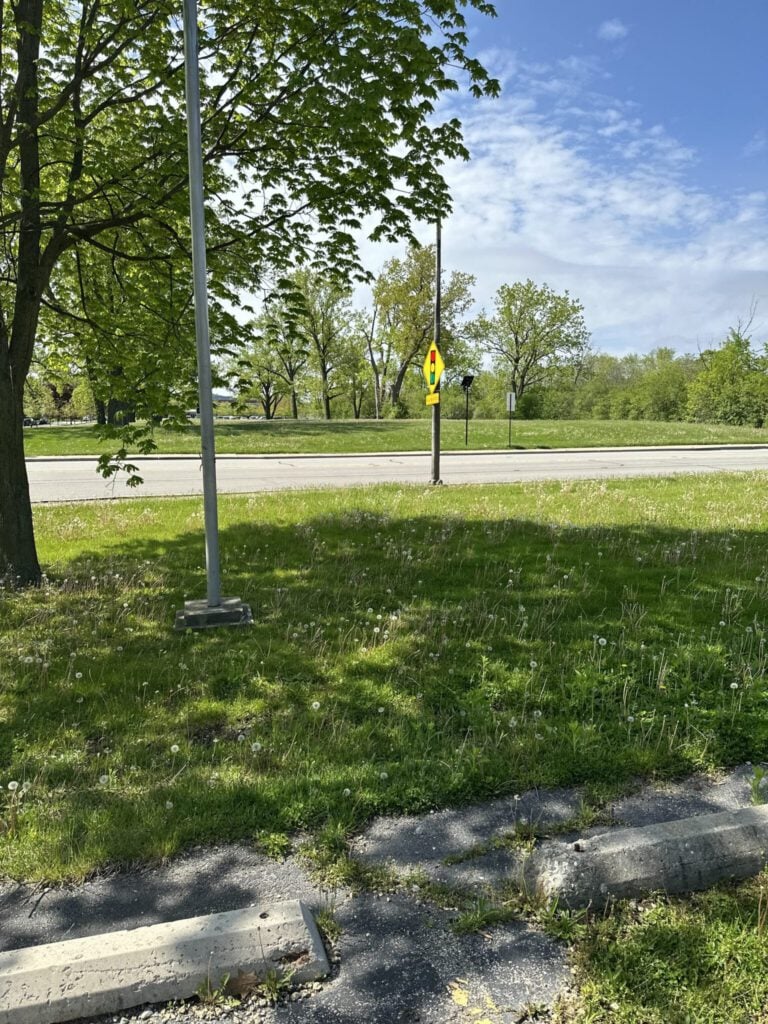 Parks + Public Spaces